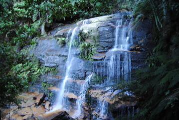 Naklejka na ściany i meble Hiking hear waterfalls in Wentworth Falls in Blue Mountains national park, Australia