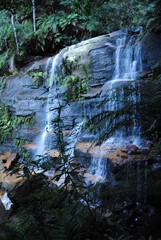 Fototapeta premium Hiking hear waterfalls in Wentworth Falls in Blue Mountains national park, Australia