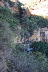 Fototapeta premium Hiking hear waterfalls in Wentworth Falls in Blue Mountains national park, Australia
