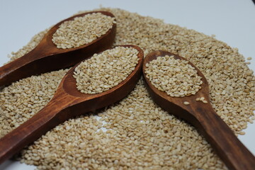 Organic natural Til Gul OR Sesame seeds over white background