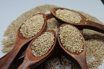 Organic natural Til Gul OR Sesame seeds over white background

