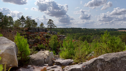 Fototapeta na wymiar Panoramic view at Cailleau rock in the Fontainebleau forest