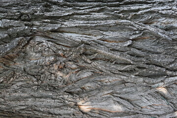 Pine bark Brown and gray natural wood background wood bark texture Background creative vintage. dry, cracked, background bark brown cracked creative creativity dry gray hollow hollowbackground irregul