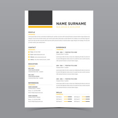 Professional Resume Template Vector Design