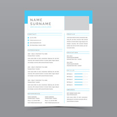Professional Resume Template Vector Design