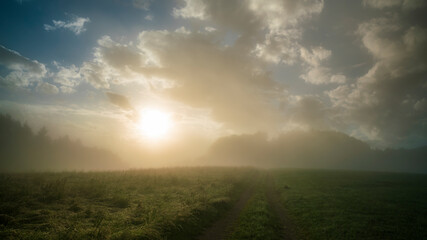 Obraz premium Germany, Black Forest Schwarzwald, Mystical foggy morning atmosphere over green pastures and path after sunrise