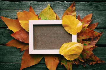 Autumn background. Blank sheet of paper with yellow leaves on wooden background. background with space for text.Autumn greeting card - 377496202