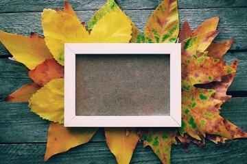 Autumn background. Blank sheet of paper with yellow leaves on wooden background. background with space for text.Autumn greeting card - 377496235