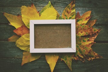 Autumn background. Blank sheet of paper with yellow leaves on wooden background. background with space for text.Autumn greeting card - 377496252