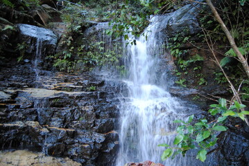 The view to the valley with the trees and the waterfall in the Blue Mountains national park in Australia