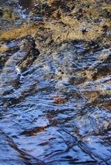The view to the valley with the trees and the waterfall in the Blue Mountains national park in Australia