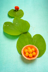 Indian festival dussehra , green leaf and rice
