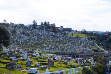 Bronte Beach Cemetery sitting on top of high rock cliffs with magnificent views to the ocean 