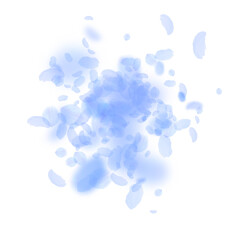 Dark blue flower petals falling down. Creative rom
