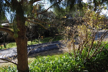 The landscape view of the fields in the Blue Mountains on the sunny day