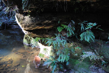 The landscape view of the fields in the Blue Mountains on the sunny day