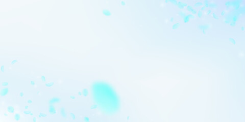 Turquoise flower petals falling down. Fantastic ro