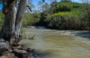 View of the Mountainous Jordan, a beautiful section of the Jordan River as seen flowing wildly  to the Sea of Galilee (Lake Kineret), Upper Galilee, Northern Israel, Israel.