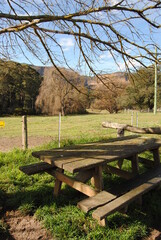 Country side with the cliffs in the valley in the Blue Mountains national park in NSW, Australia