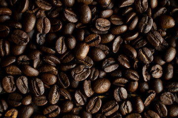 Fresh arabica coffee beans as a texture or background.