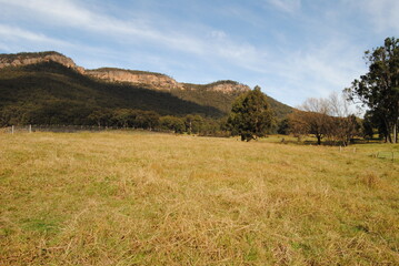 Obraz premium The landscape view of the fields in the Blue Mountains on the sunny day