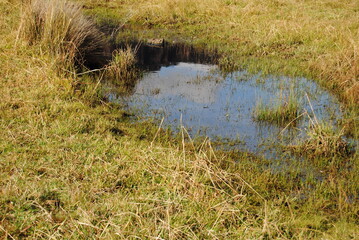 The landscape view of the fields in the Blue Mountains on the sunny day