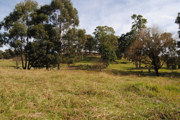The landscape view of the fields in the Blue Mountains on the sunny day