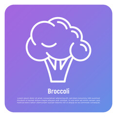 Broccoli thin line icon. Healthy vegan food. Ingredient for salad. Vector illustration.