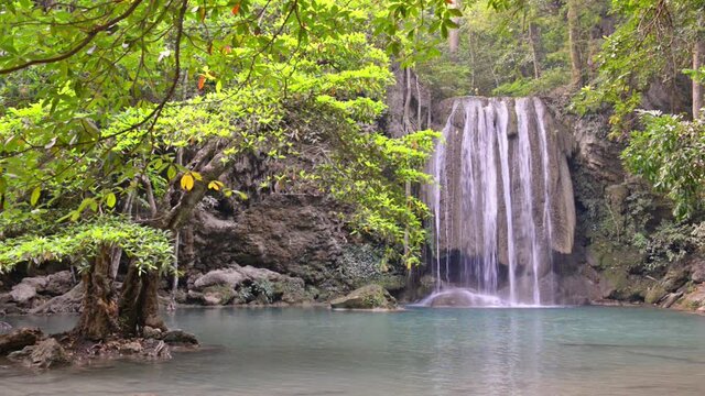 Waterfall water cascade near tree in green forest. Full HD video clip with zoom out