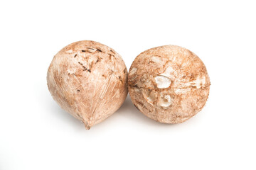 Burned coconut isolated on white background.