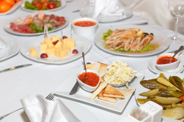 Fototapeta na wymiar Pickles, salad, caviar and dishes on holiday table