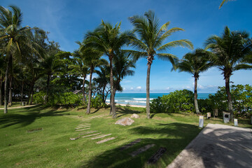 Naklejka na ściany i meble Tropical beach with palm trees