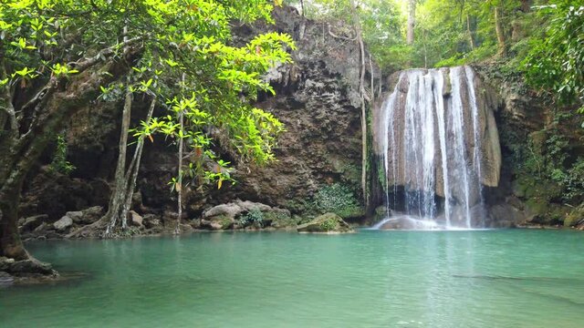 Waterfall water cascade near tree in green forest with audio sound of calm falling water. 4K video clip