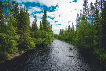 Fototapeta na wymiar river flowing through the wilderness of Finland