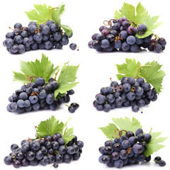 Grapes on a white background
