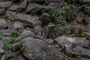 large gray rough textured chipped stones with moss in green grass in forest