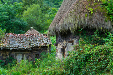 Fototapeta na wymiar Landscape in the Braña de Tuiza in the council of Teverga, in the Las Ubiñas-La Mesa Natural Park. Asturias. Spain.Europe