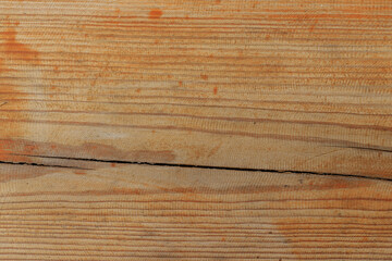 Obraz premium texture of bark wood use as natural background