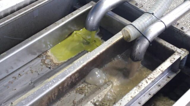 Extra virgin olive oil extraction process in olive oil mill in the outskirts of Athens in Attica, Greece.