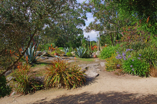Visite du jardin botanique de Roscoff