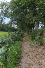 The  estate near Doetinchem, The Netherlands