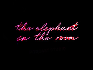 The elephant in the room neon writing