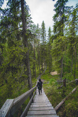 hiking footpath in beautiful wilderness in Finland