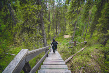 Obraz na płótnie Canvas hiking footpath in beautiful wilderness in Finland