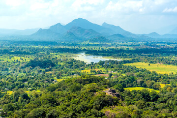 The view from the top of the rock fortress of Sigiriya, Sri Lanka across the jungle canopy