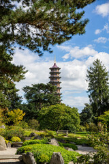 Pagoda in japanese garden