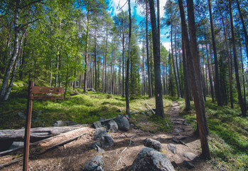 hiking footpath in beautiful wilderness in Finland