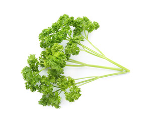 Fresh green curly parsley on white background, top view