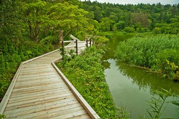 Fototapeta na wymiar Himenuma Pond Rishiri Hokkaido Japan