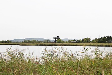 한국 인천시  남동구  소래습지생태공원 입니다